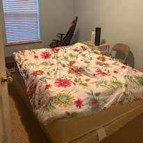 Sung's room