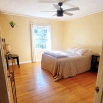 Mary's room