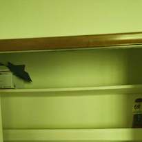 Joshua's room