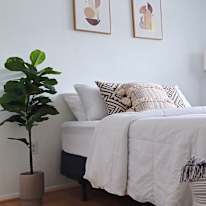 Diana C Ocampo's room