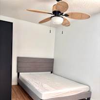 Thi's room