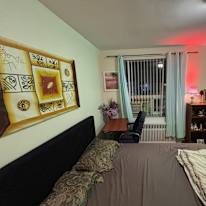 Mojtaba's room