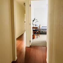 Snowdon's room