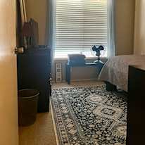 Roberto's room