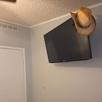 Wayne Brooks's room