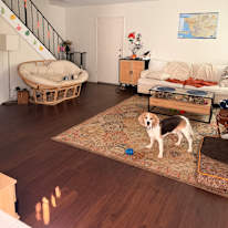 chaise's room