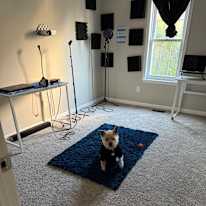 Kid's room