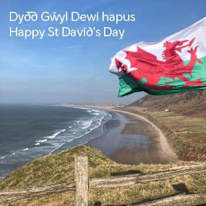 Jane Ann Summers's room