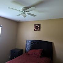Steeve's room