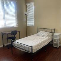 Zenaida's room