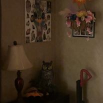 Rena's room
