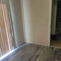 Robin's room
