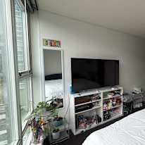 Cat's room