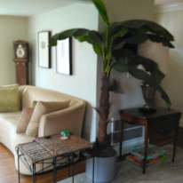 James's room
