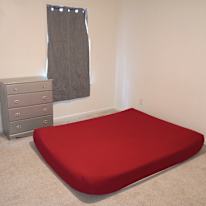 Kyle's room