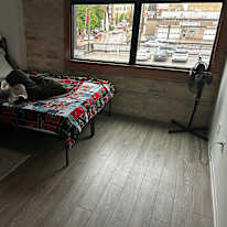 Teddy's room