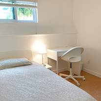 Shirin's room