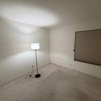 David's room