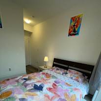 Meisam Rostaminia's room