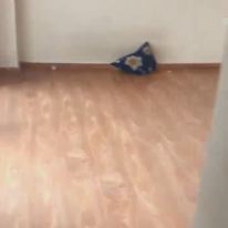 Souvik Roy's room