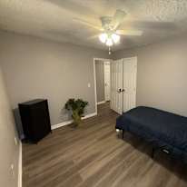 Lioness's room