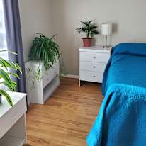 Cindi's room