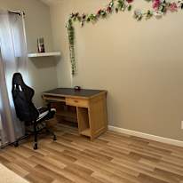 MARLENE DE MELT's room