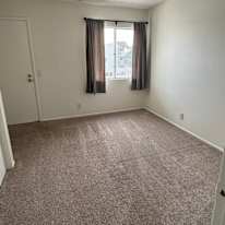 Michelle's room