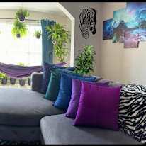 Happy's room