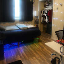 Cat's room