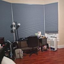 Shane's room