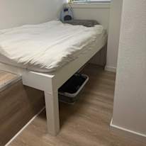 Connor's room