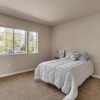 Irene's room