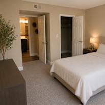 Bruno's room
