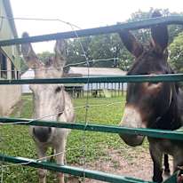 Mary-Anne Molzan's room