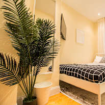 Sam June's room