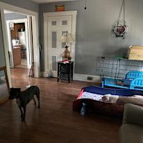 Ismael Vazquez's room