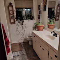 Rachel's room