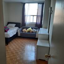 Amin's room