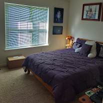 Jayne's room