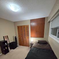 Hadeer's room