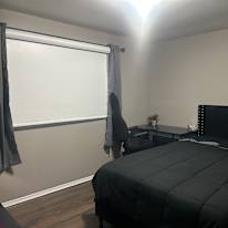 Shelly's room