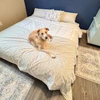 Dannie's room