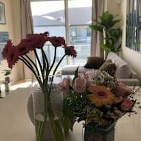 Natasha's room