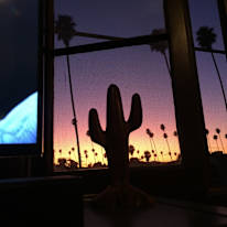 Austin's room