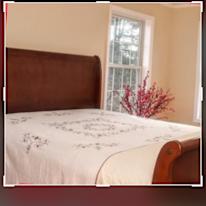 Mary's room