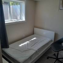 Dave's room
