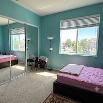 Shiraz Shamsi's room
