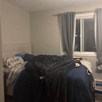 Jorja's room