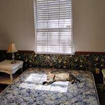 Laurel's room